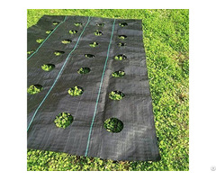 Farm Around Fruit Trees Pp Woven Weed Mat