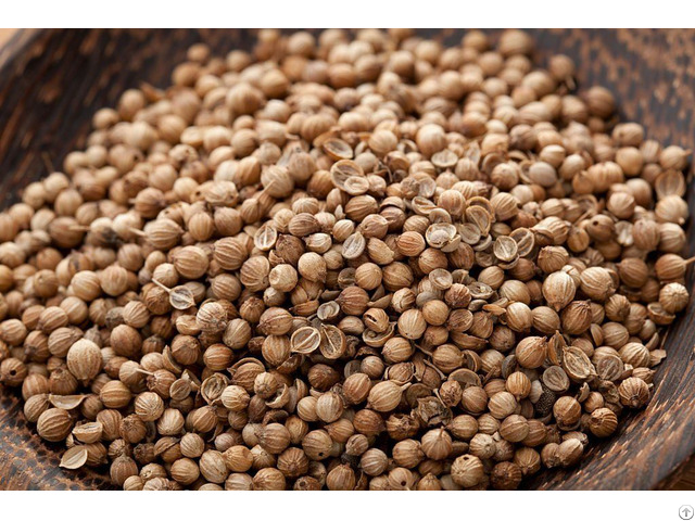 Coriander Seeds