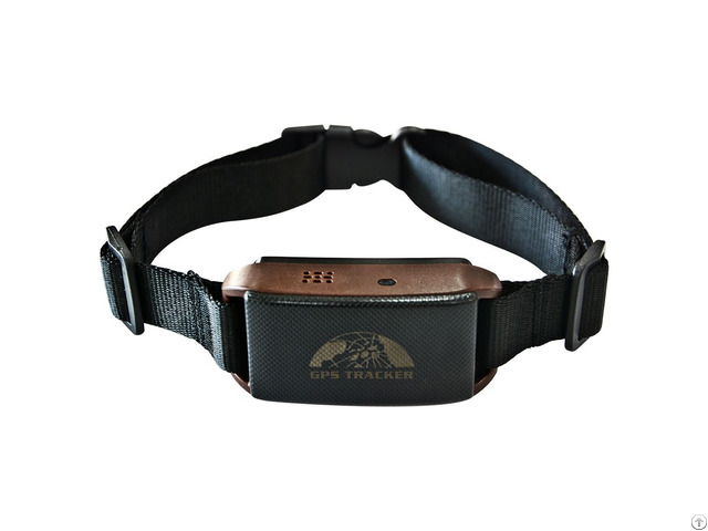 New Arrival High Quality Gps Pet Tracking Collar