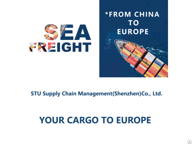 Freight Forwarding Sea Shipping From China To France By Fcl Lcl Shipments