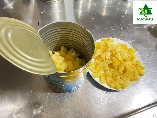 Pineapple Pieces Canned Preserved