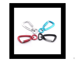 5kn Swivel Carabiner Hook