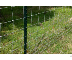 Cattle Fence