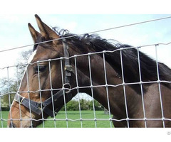 Horse Fence