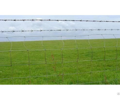 Perimeter Fence