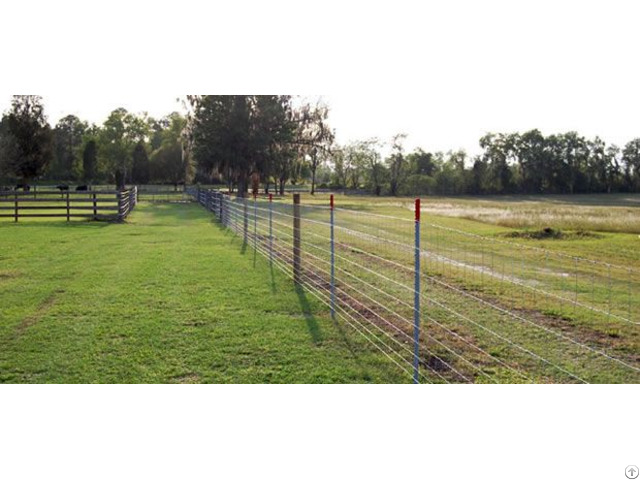 Dongxin Welded Wire Mesh Fence