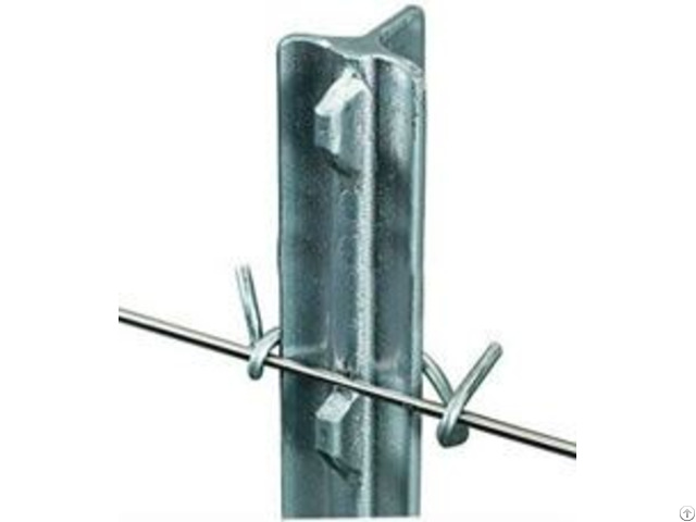 Dongxin Studded T Post