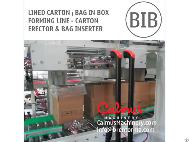 Case Erector And Bag Inserter For Forming Lined Carton