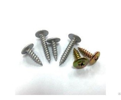 Truss Head Self Tapping Screws