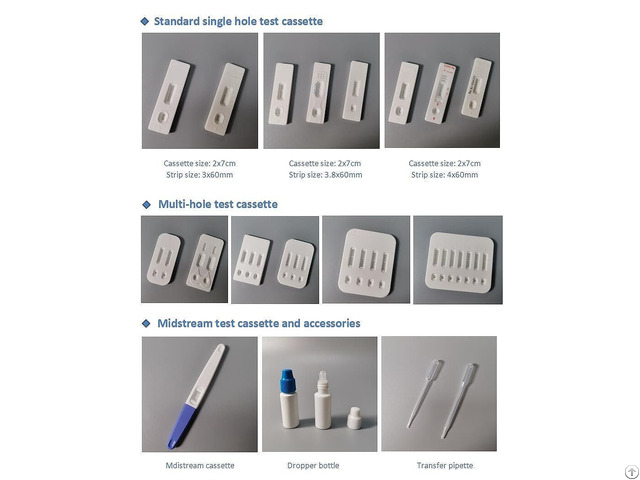 Plastic Empty Lateral Flow Rapid Test Cassette