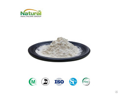 Giant Knotweed Extract Powder