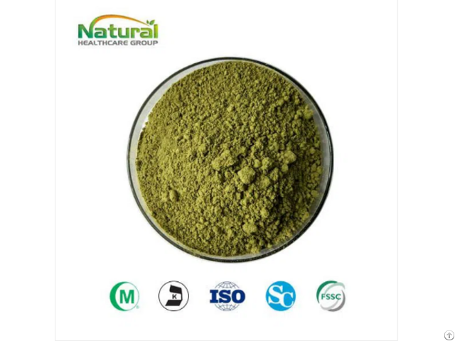 Bulk Green Tea Powder