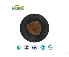 Rhodiola Extract Powder