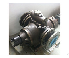 Horizontal External Bearing Twin Screw Pump