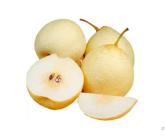 Chinese Yellow Pear