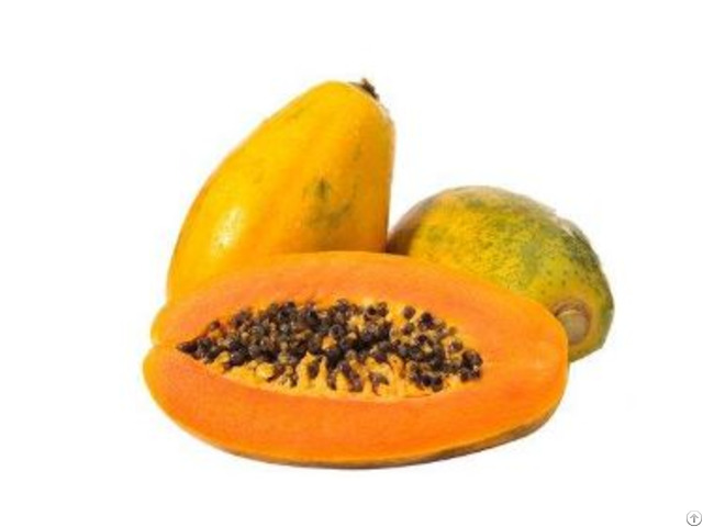Papaya Powder Cariea Extract