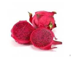 Dragon Fruit Powder Extract