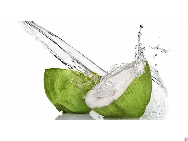 Coconut Water Powder
