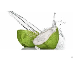 Coconut Water Powder