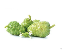 Noni Fruit Powder