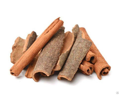 Cinnamon Bark Extract Polyphenol