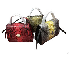 New Imported Python Leather 26cm Portable One Shoulder Messenger Bag