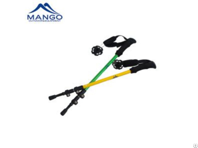 Aluminum 6061 Racing Ski Pole
