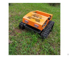 Remote Control Lawn Mower