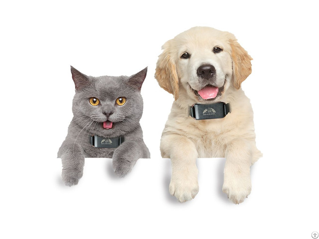 Waterproof Gps Pet Tracker With Smartphone App