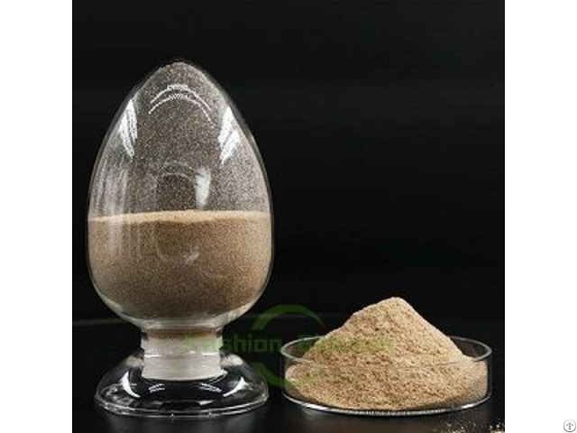 Anaerobic Bio Bacteria In Sewage Treatment System