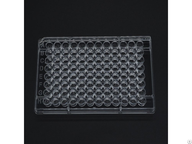 V Bottom 96 Square Deep Well Plate