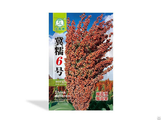 Sorghum Seeds Suppliers