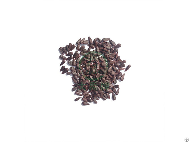 Planting Sunflower Seeds
