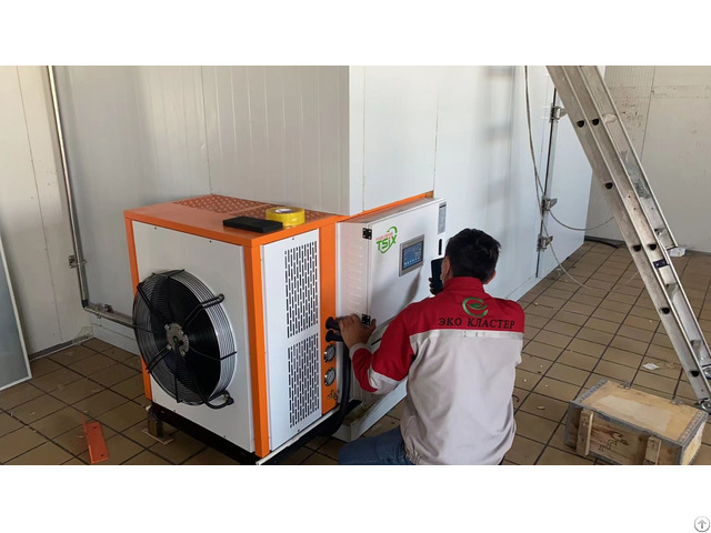 Tsix 300kg Sea Buckthorn Berry Drying Machine Dphg030s G