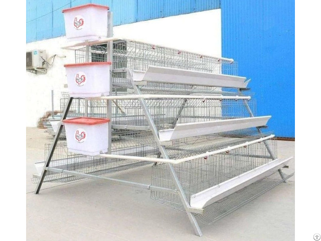 Bird Egg Laying Cage For Sale