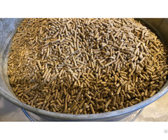 Bulk Broiler Maintenance Pellets For Sale