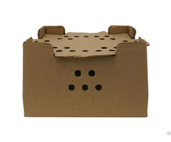 Chick Shipping Box For Sale