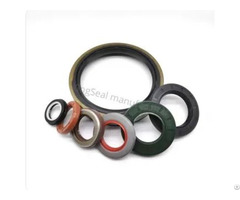 Tc Tg Sc Nbr Fkm Oil Seal