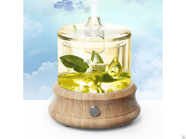 Glass Reservoir Diffuser