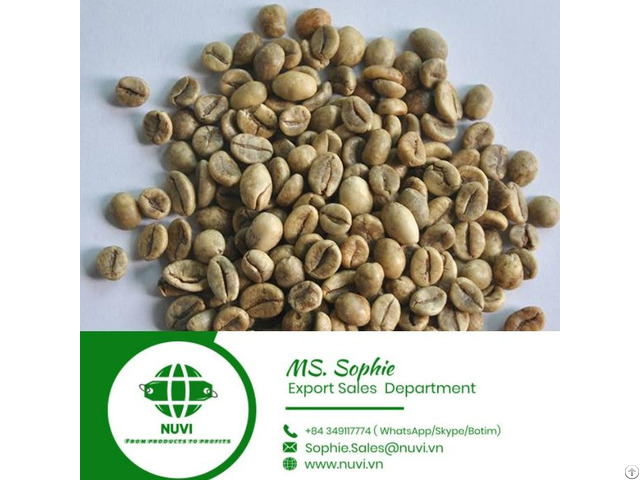 Green Cofffee Beans From Vietnam Supplier