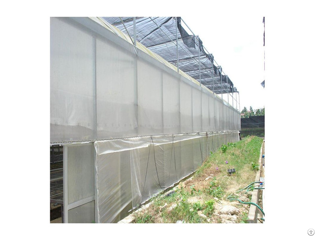 Five Years Uv Stability Greenhouse Film