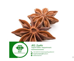 Stardard Star Anise