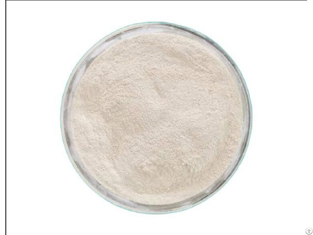 Dicalcium Phosphate