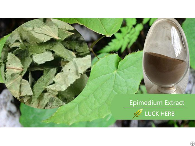 Epimedium Extract Icariin Powder