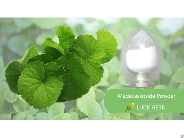 Madecassoside Powder