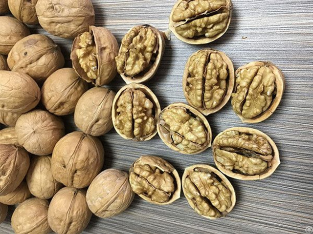 Xin2 Walnut Inshell