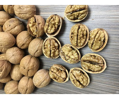 Xin2 Walnut Inshell