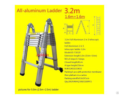 Full Aluminium 2 In 1 Telescopic Ladder