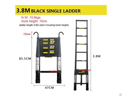 Black Single Ladder With Hook 3 8m