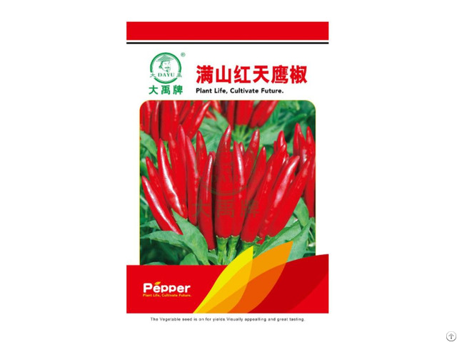 Rong Spicy Flavor Chili Pepper Seeds